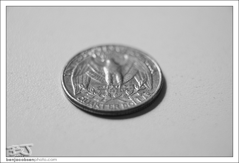 IMAGE: http://gear.benjacobsenphoto.com/wp-content/gallery/canon-100mm-macro/img_1220.jpg