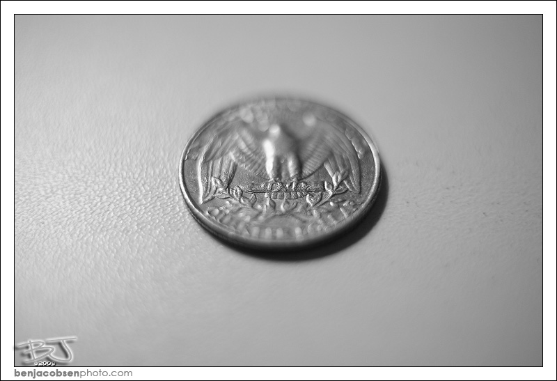 IMAGE: http://gear.benjacobsenphoto.com/wp-content/gallery/canon-100mm-macro/img_1221.jpg