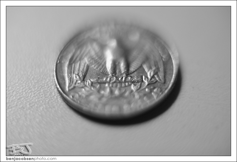 IMAGE: http://gear.benjacobsenphoto.com/wp-content/gallery/canon-100mm-macro/img_1222.jpg