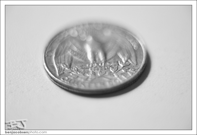 IMAGE: http://gear.benjacobsenphoto.com/wp-content/gallery/canon-100mm-macro/img_1223.jpg