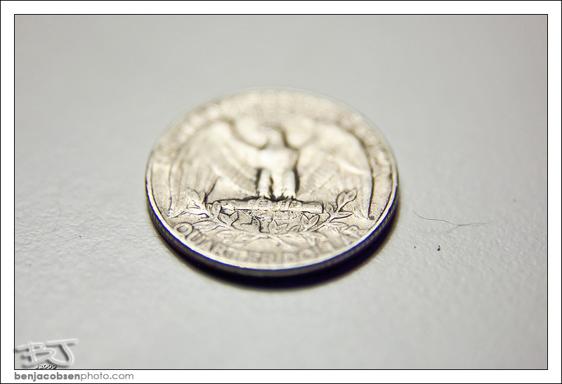 IMAGE: http://gear.benjacobsenphoto.com/wp-content/gallery/canon-100mm-macro/img_9433.jpg