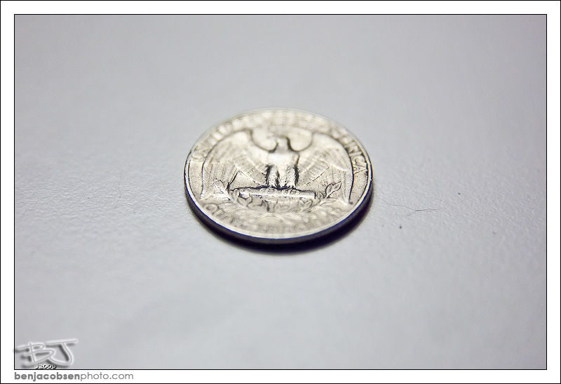 IMAGE: http://gear.benjacobsenphoto.com/wp-content/gallery/canon-100mm-macro/img_9435.jpg