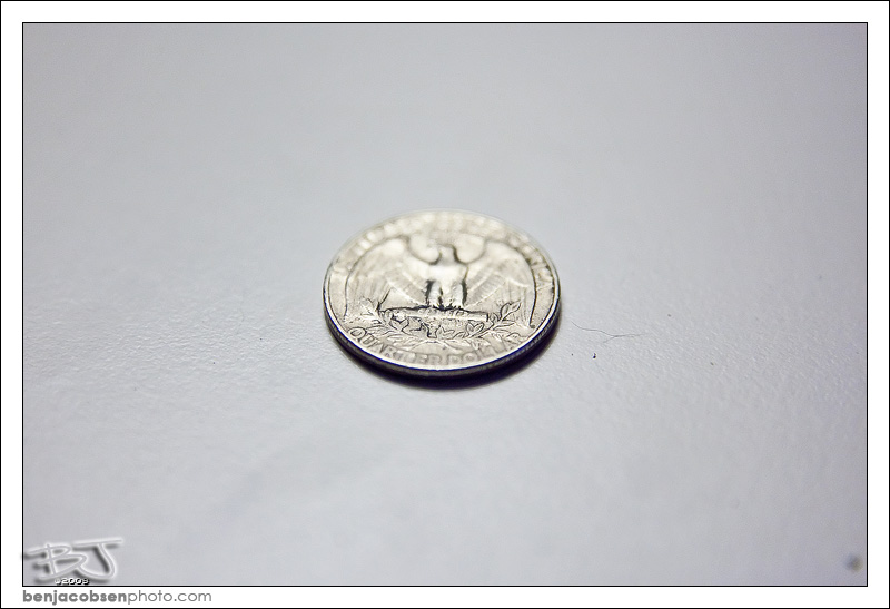 IMAGE: http://gear.benjacobsenphoto.com/wp-content/gallery/canon-100mm-macro/img_9436.jpg