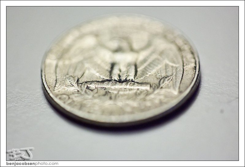 IMAGE: http://gear.benjacobsenphoto.com/wp-content/gallery/canon-100mm-macro/img_9439.jpg