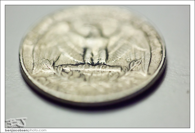 IMAGE: http://gear.benjacobsenphoto.com/wp-content/gallery/canon-100mm-macro/img_9440.jpg