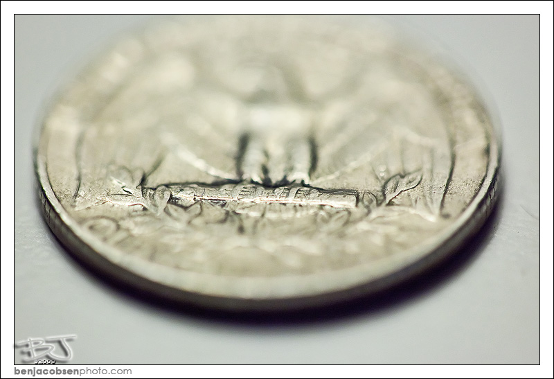 IMAGE: http://gear.benjacobsenphoto.com/wp-content/gallery/canon-100mm-macro/img_9441.jpg