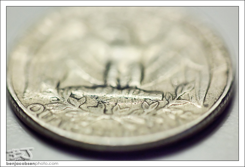 IMAGE: http://gear.benjacobsenphoto.com/wp-content/gallery/canon-100mm-macro/img_9442.jpg