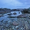 bbj_5467_0