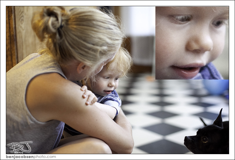 IMAGE: http://gear.benjacobsenphoto.com/wp-content/gallery/sigma-50mm-1-4/img_0267.jpg